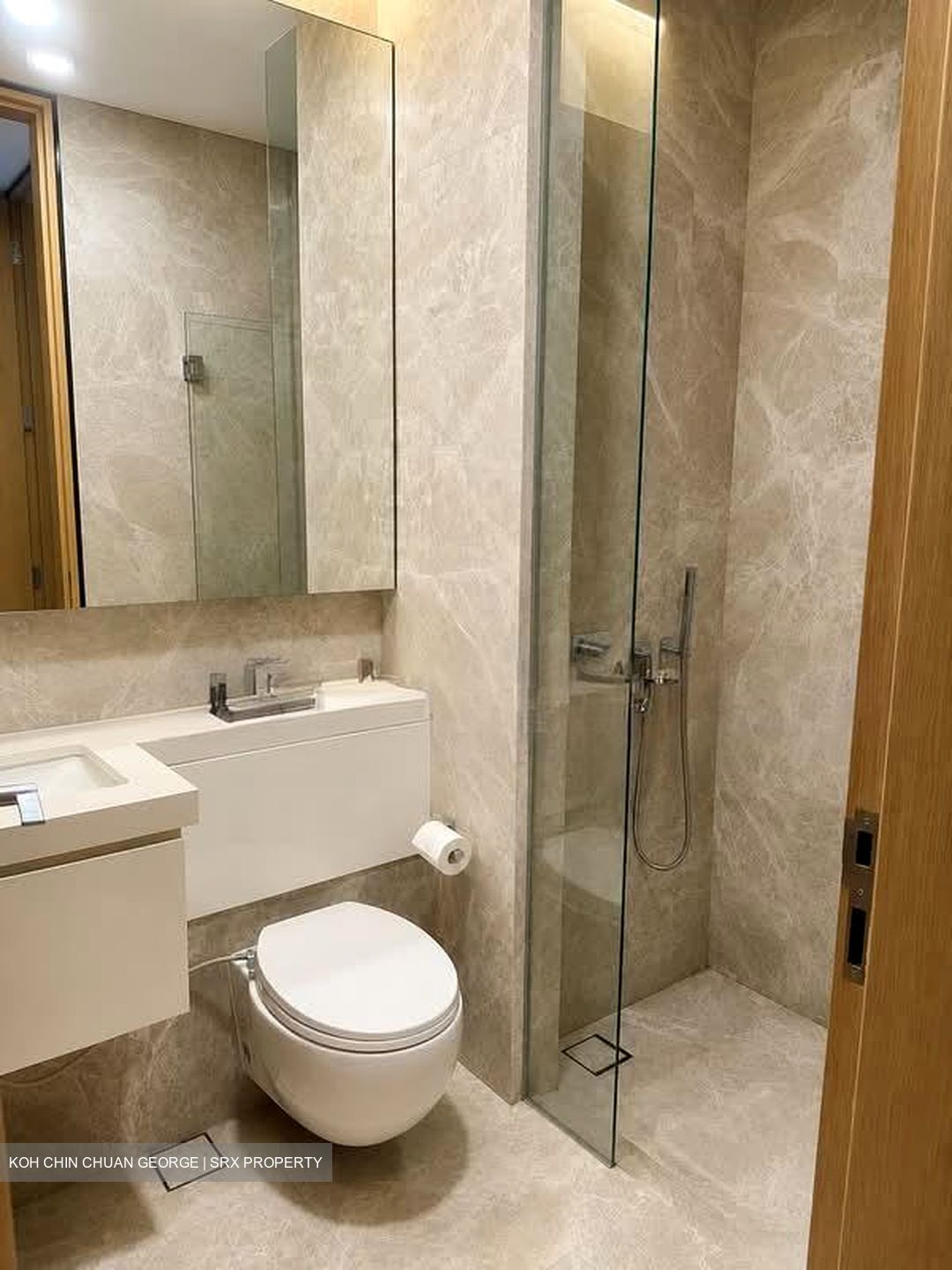 The Laurels (D9), Condominium #568186871